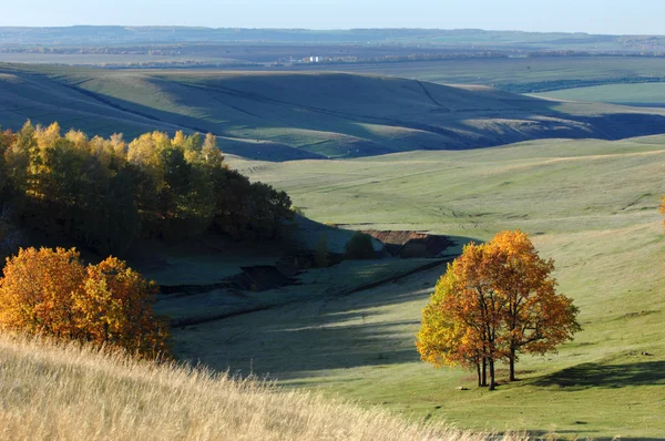 stock image Autumn