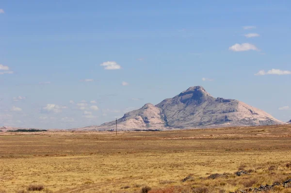 Stock image Steppe