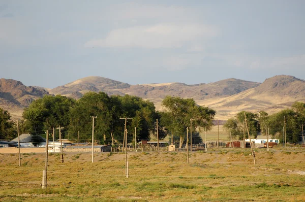 stock image Steppe