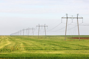 elektrik direkleri