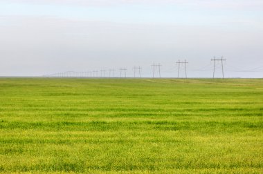 elektrik direkleri