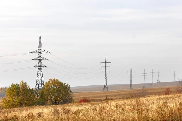 elektrik direkleri