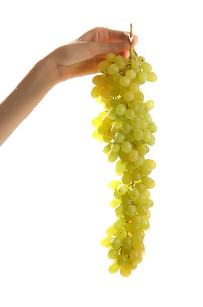 stock image Grapes