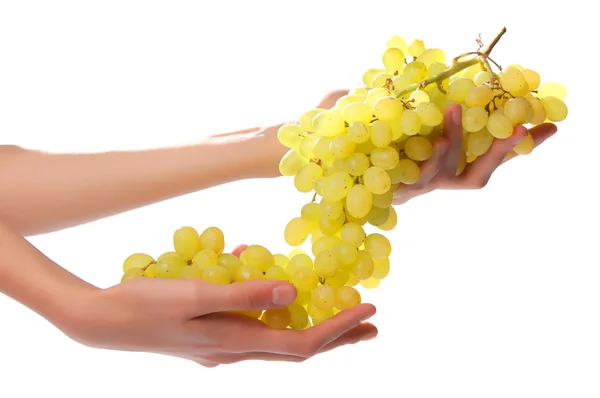 stock image Grapes