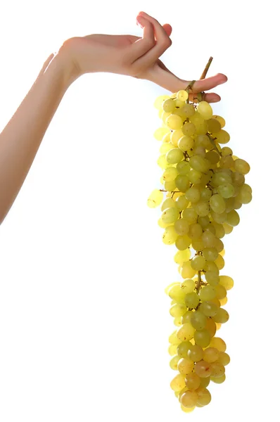 stock image Grapes