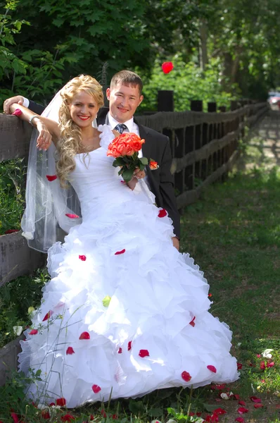 결혼식, 두 젊은 남자 — 스톡 사진