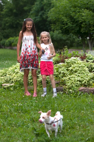 Meisjes poseren in een goed humeur de fotograaf — Stockfoto