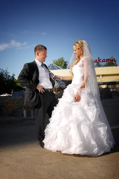 La boda, dos jóvenes —  Fotos de Stock