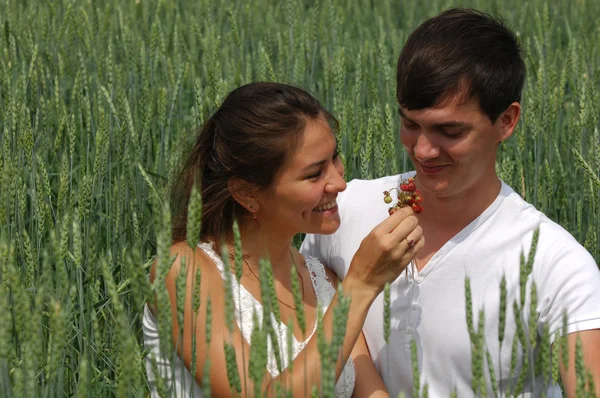 사랑 이야기입니다. 손에 Wheatfield, 소나무, 딸기 — 스톡 사진