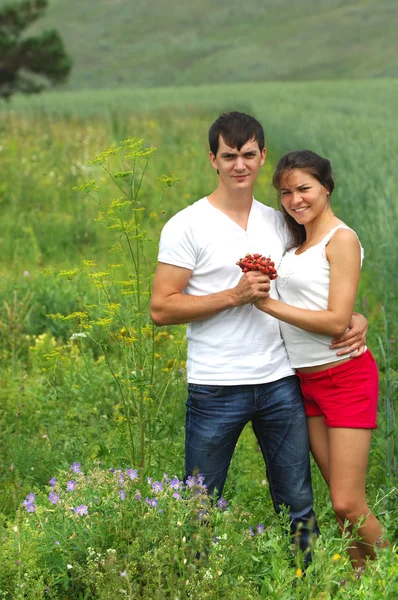 Verhaal van de liefde. Korenveld, pine, aardbei in hand — Stockfoto