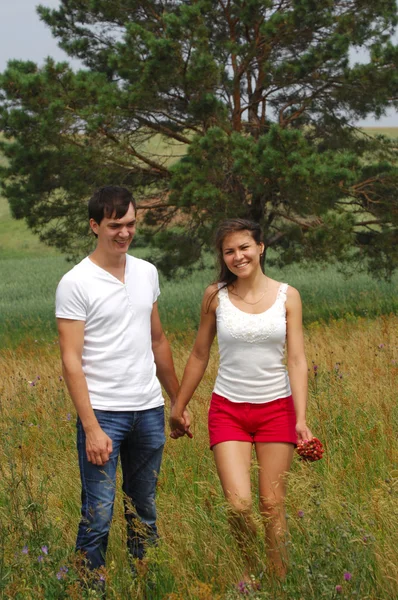 爱的故事。wheatfield，松木，手中的草莓 — 图库照片