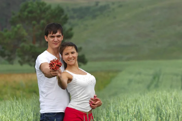 Love story. Wheatfield, Pine, Strawberry in hand — Stock Photo, Image