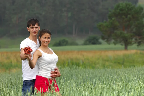 Storia d'amore. Campo di grano, pino, fragola in mano — Foto Stock