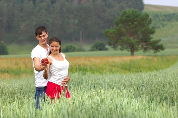 Kärlekshistoria. Wheatfield, tall, jordgubb i hand — Stockfoto