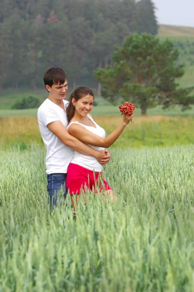 stock image Love story. Wheatfield, Pine, Strawberry in hand