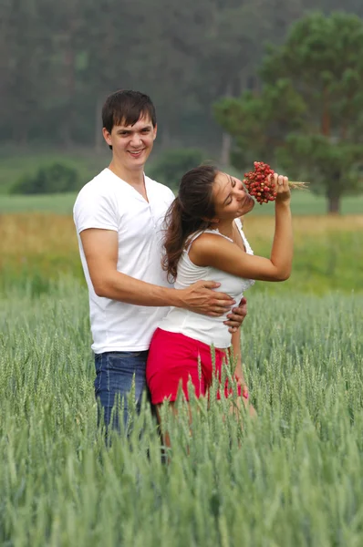 Historia miłości. pole pszenicy, Sosna, truskawki w ręku — Zdjęcie stockowe