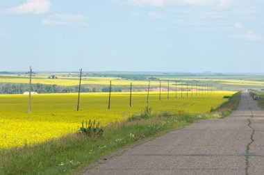 yollar. Asfalt, gri-mavi gökyüzü, eski yol.