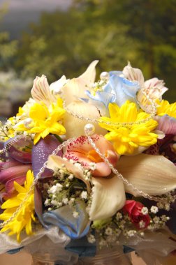 evlilik, iki genç adam