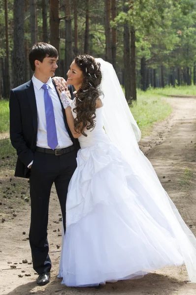 Evlilik, iki genç adam — Stok fotoğraf