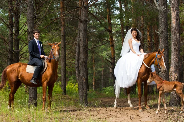 Esküvő, jó hangulat, jó Időjárás — Stock Fotó