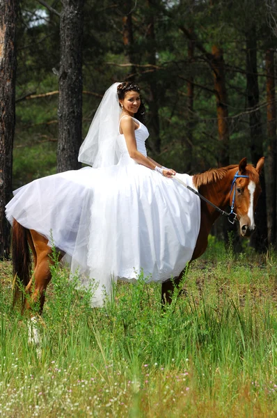 stock image Wedding, Good mood, great weather