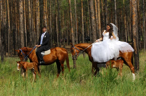 Весілля, двоє молодих людей — стокове фото
