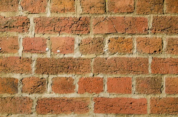 stock image Brick wall