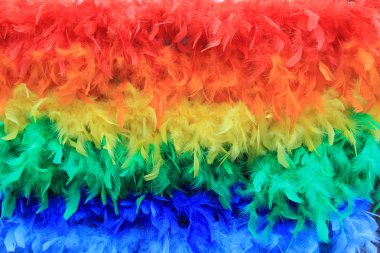 Rainbow feathers background clipart