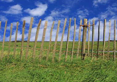 Fence pasture clipart