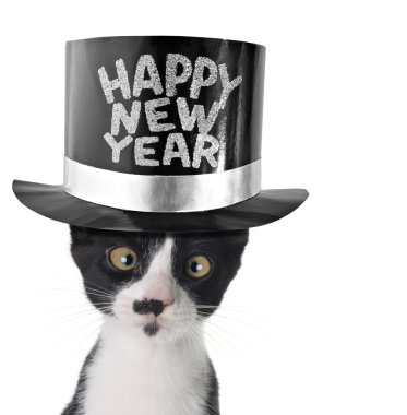 Happy new year kitten clipart