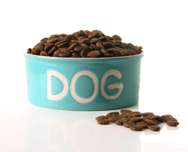 Comida para perros — Foto de Stock