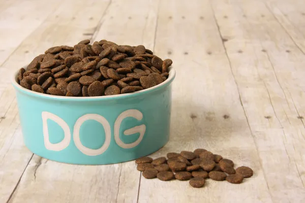 Comida para perros en un tazón. — Foto de Stock