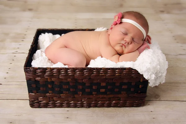 Newborn baby girl asleep in a wicker basket — Stock Photo, Image