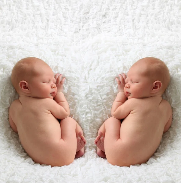 Bebês recém-nascidos — Fotografia de Stock