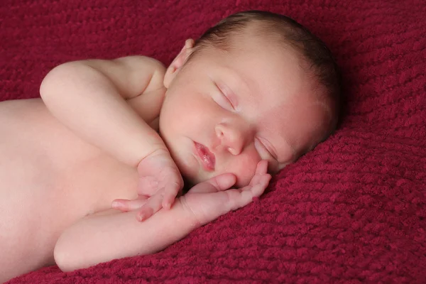 Újszülött baba lány — Stock Fotó