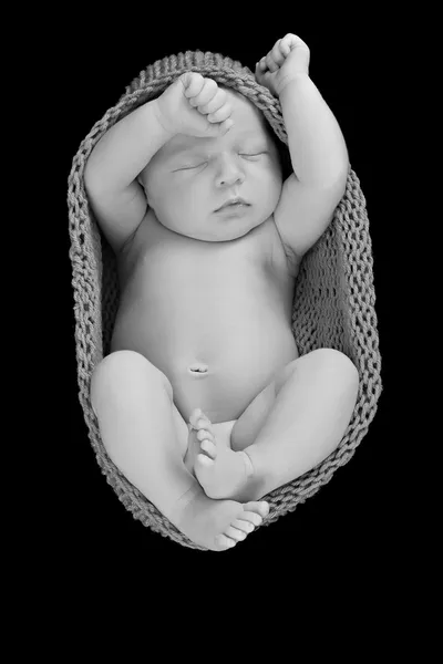 Újszülött fiú — Stock Fotó