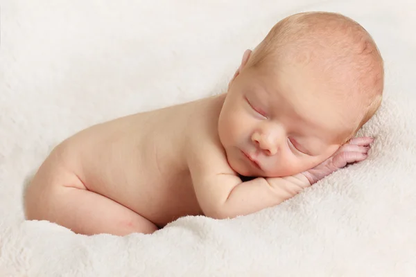 Newborn baby boy Stock Picture