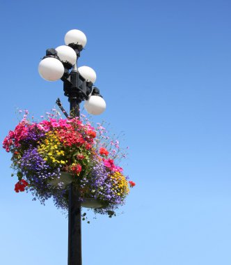 Summer flower baskets clipart