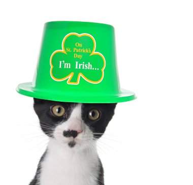 I'm Irish clipart