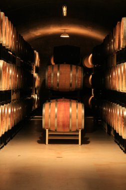 Wine cellar clipart