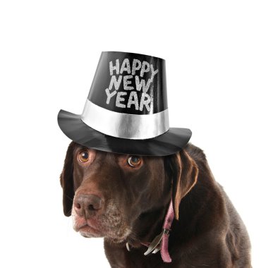 Happy new year dog clipart