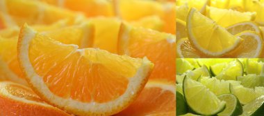 Citrus fruit collection clipart