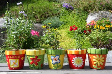 Colorful pots and flowers. clipart