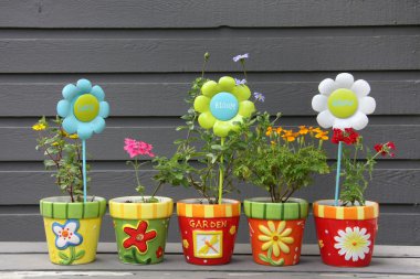 Pretty potted flowers clipart