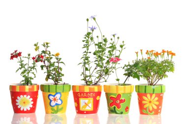 Pretty flower pots clipart