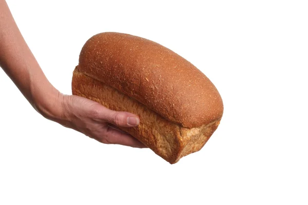 Bread donation — Stock Photo, Image