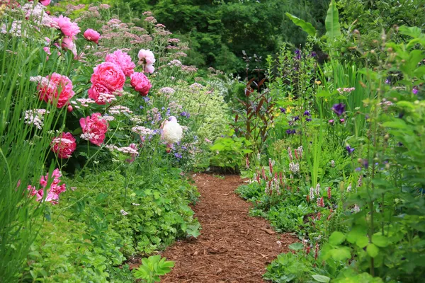 Английский коттеджный сад — стоковое фото