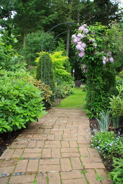 Hübscher Gartenweg — Stockfoto