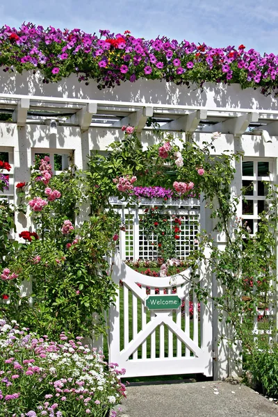Ogród różany — Zdjęcie stockowe