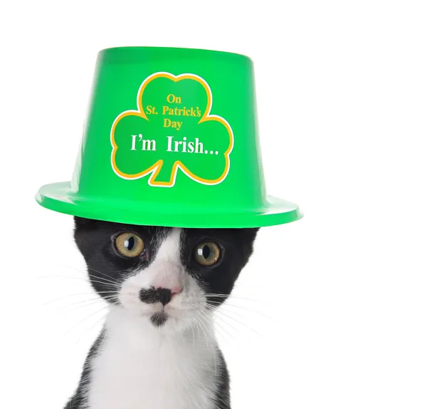 Soy irlandés. — Foto de Stock